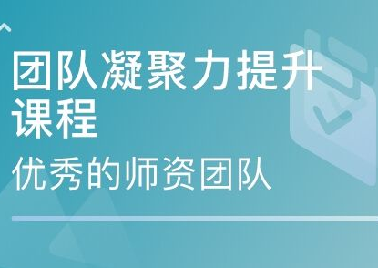 企业如何打造高效团队凝聚力