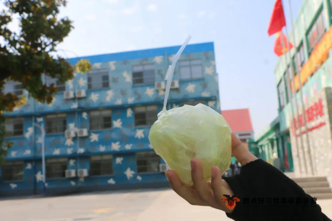 绿茵草地上，那些满载好习惯的追风小战士,上海西点军校