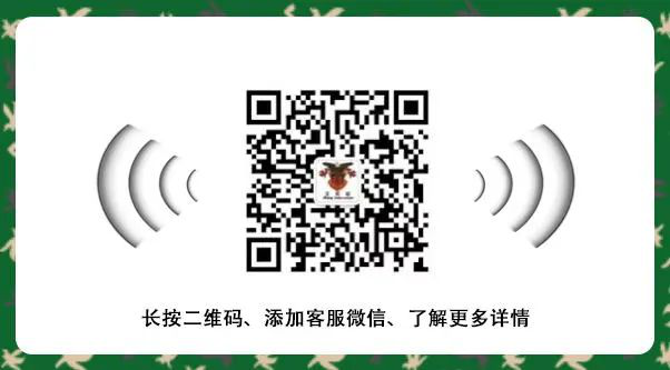 2021西点好习惯冬令营开营啦,速来围观 