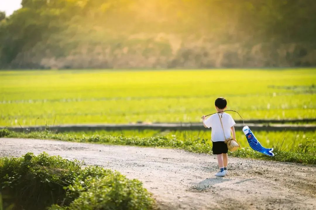 培养一个不磨蹭的孩子，你要学会用这4个心理学法则,上海冬令营