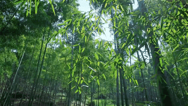 春风十里好时光，一起去踏青吧,踏青,上海西点猎人军训基地