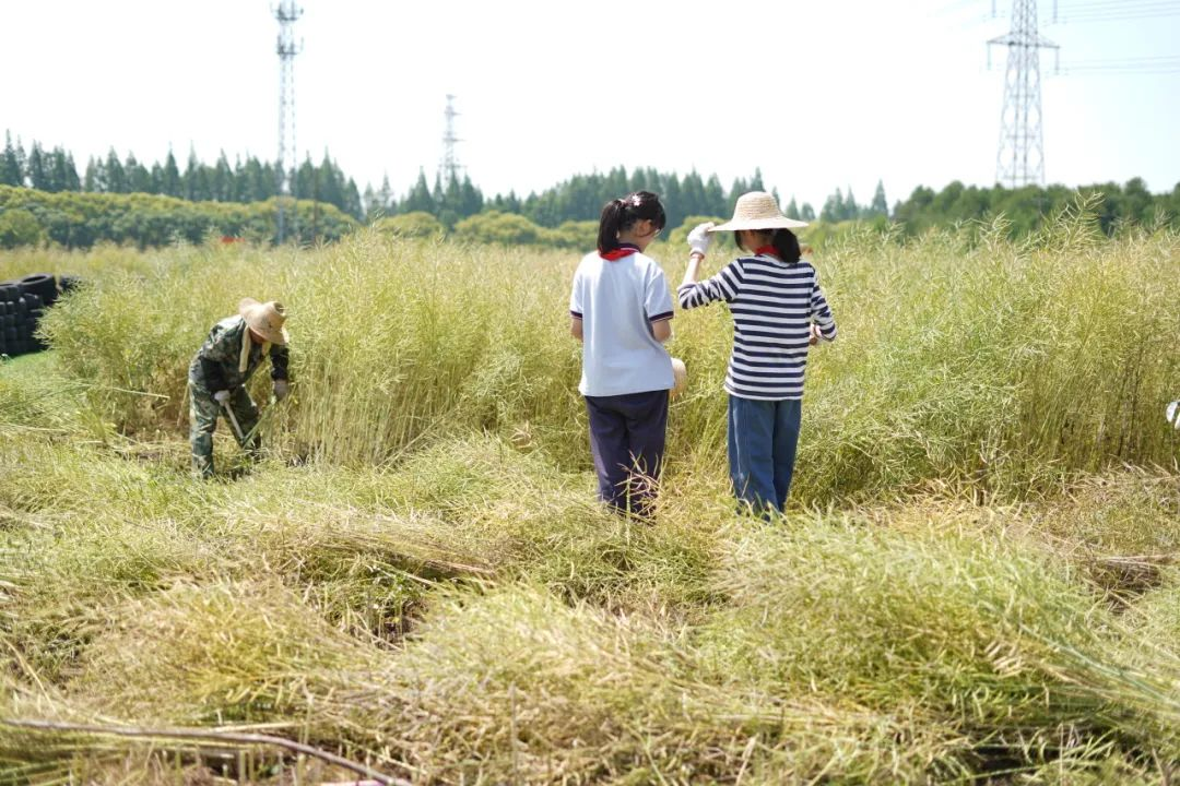 你知道吗？自然缺失症也是一种病！,国庆孩子送去哪？