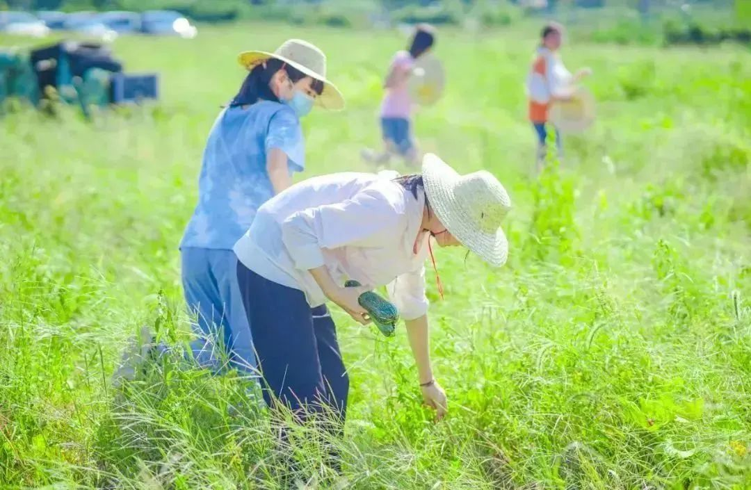 【上海本地亲子营】十一悠然农场一日营开始预定，228一大一小够玩一天！,亲子活动